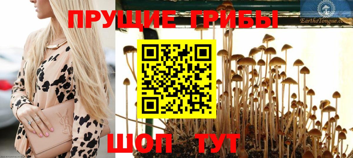 Псилоцибиновые грибы Psilocybine cubensis  продажа наркотиков  Ступино  Галлюциногенные грибы мухоморы  Вход с VPN 